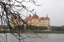 Замок Морицбург под Дрезденом