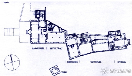 Cад бабочек
