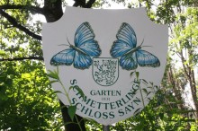 Cад бабочек