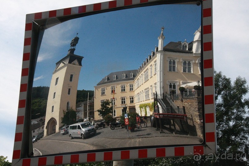 Cад бабочек