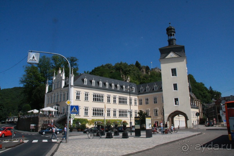 Cад бабочек