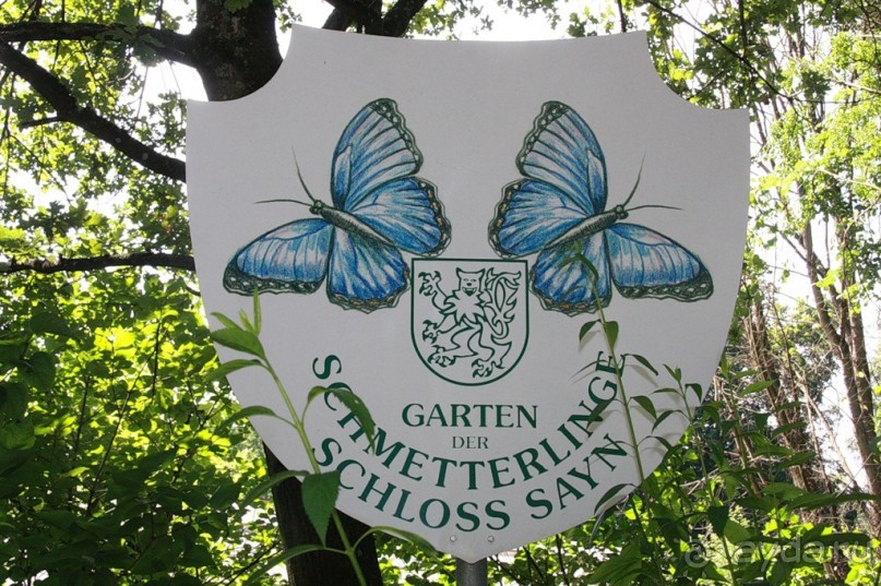 Cад бабочек