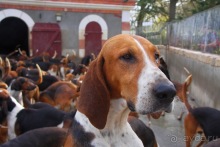 Замки Луары самостоятельно (идеальная поездка)