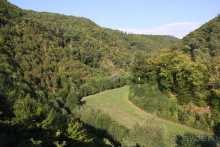 Эльц - замок на купюре.