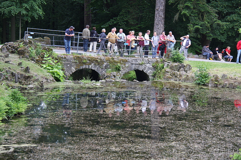 Просто КАССЕЛЬ