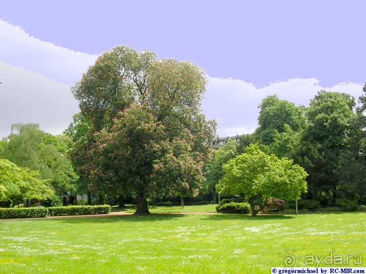 БОНН, Германия