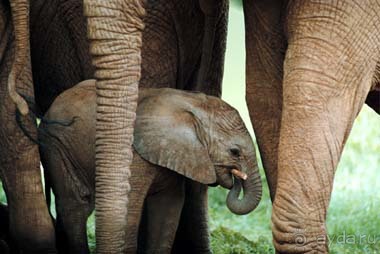 Водная крепость Линн (Крефельд)