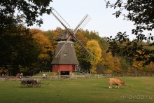 Этнографический музей КОММЕРН