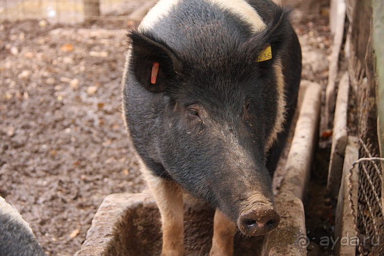 Этнографический музей КОММЕРН