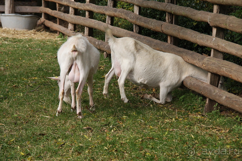 Этнографический музей КОММЕРН