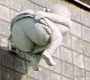 Кёльнская мозаика / De Kallendresser us Kölle