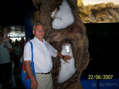 Отчет об автостопе в Россию из Германии