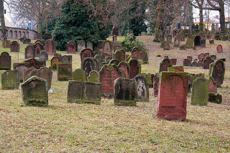 Три кита Вормса