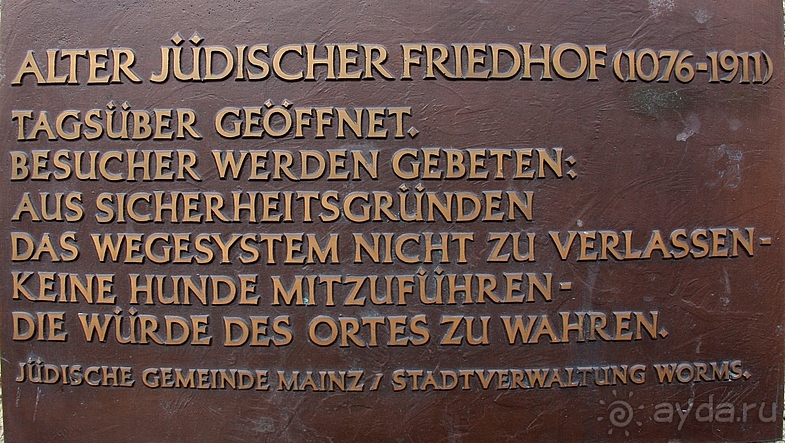 Альбом отзыва "Три кита Вормса"