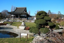 Дюссельдорфские витражи. Японский садик