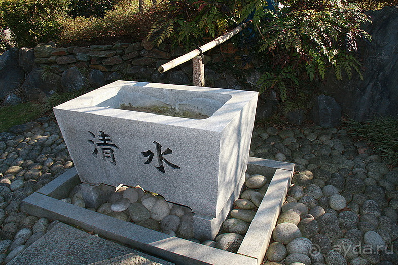 Дюссельдорфские витражи. Японский садик