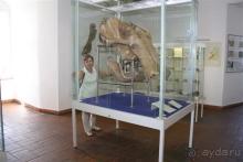 Клеве это клёво + Замок Мойланд