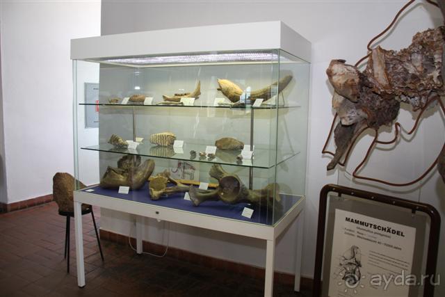 Клеве это клёво + Замок Мойланд