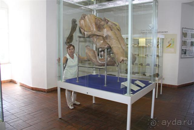 Клеве это клёво + Замок Мойланд