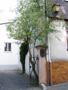 Ветцлар на Лане