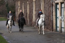 3 недели в Нижней Саксонии. Часть 1