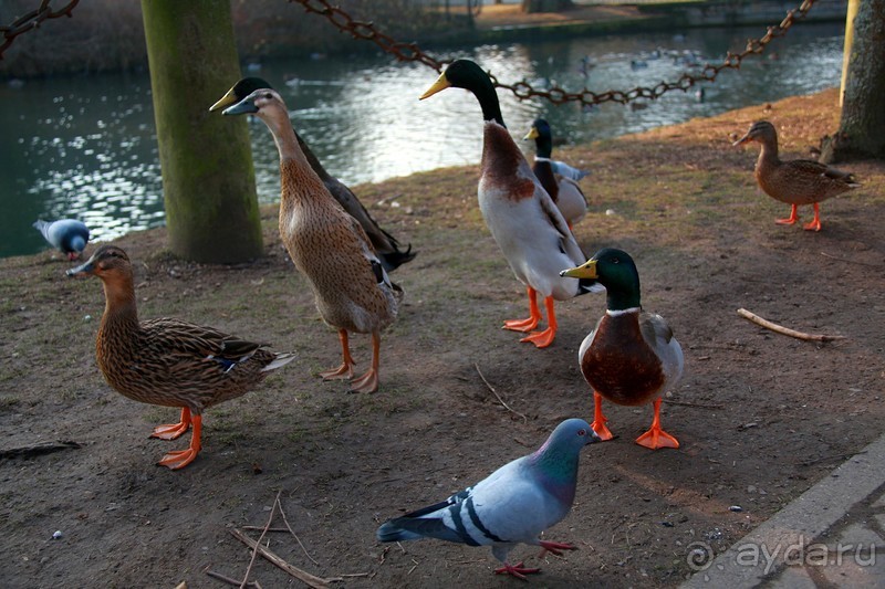 3 недели в Нижней Саксонии. Часть 1