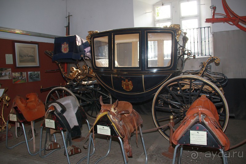 3 недели в Нижней Саксонии. Часть 1