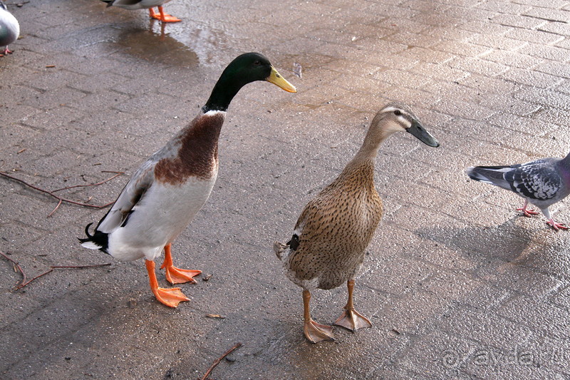 3 недели в Нижней Саксонии. Часть 1