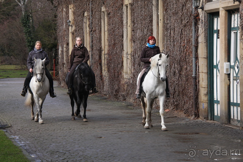 3 недели в Нижней Саксонии. Часть 1