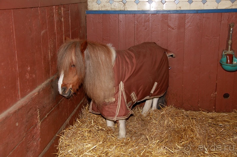 3 недели в Нижней Саксонии. Часть 1