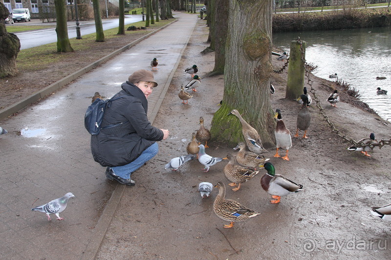 3 недели в Нижней Саксонии. Часть 1