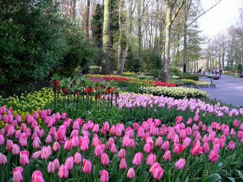 Амстердам. Город Спинозы и Анны Франк