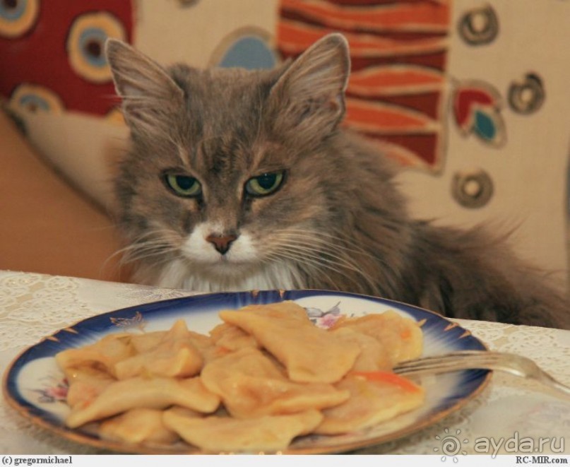 Амстердам. Город Спинозы и Анны Франк