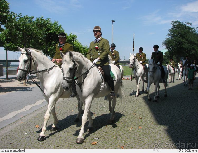 Дюссельдорфские витражи. Набережная Рейна