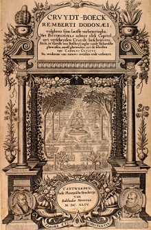 Мехелен - родина малинового звона.