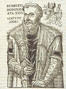 Мехелен - родина малинового звона.