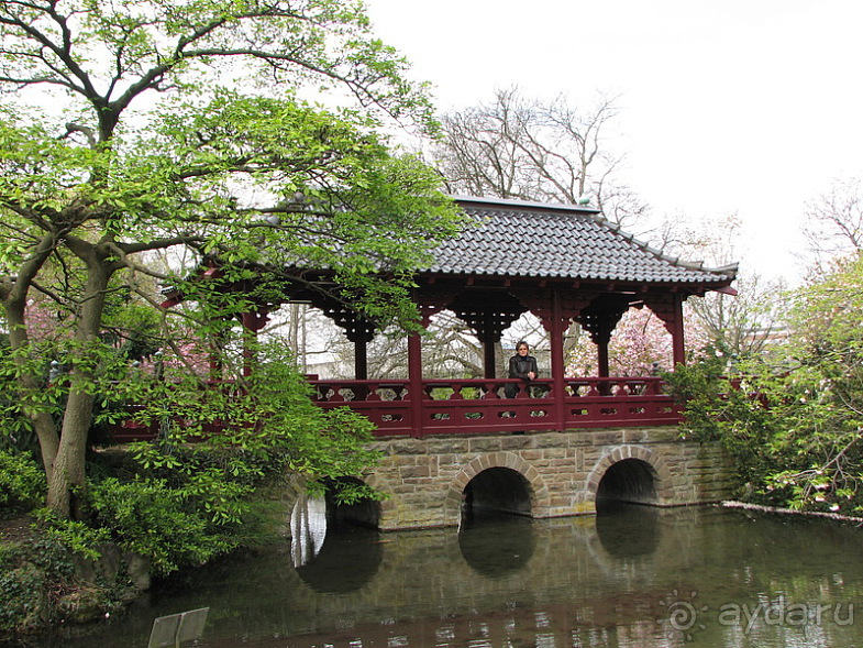 фото Вупперталя