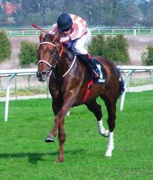 Schloss Itlingen - кузница успеха лошадей Бахрейна