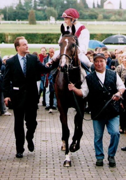 Schloss Itlingen - кузница успеха лошадей Бахрейна