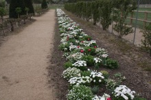 Замки долины Луары и не только. Часть 2