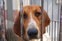 Замки долины Луары и не только. Часть 2