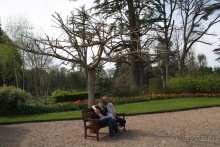 Замки долины Луары и не только. Часть 2