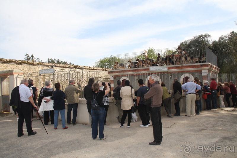 Замки долины Луары и не только. Часть 2