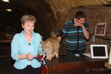 Замки долины Луары и не только. Часть 2