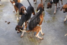 Замки долины Луары и не только. Часть 2