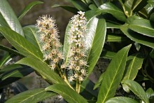 Замки долины Луары и не только. Часть 2