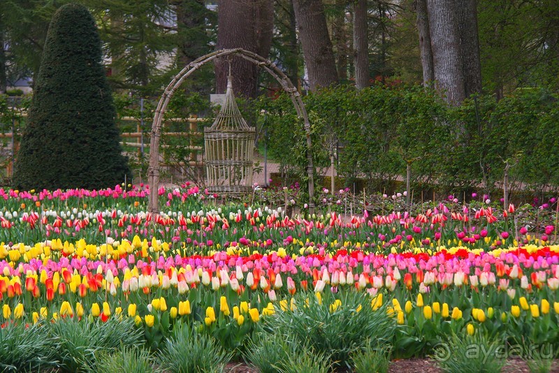 Замки долины Луары и не только. Часть 2