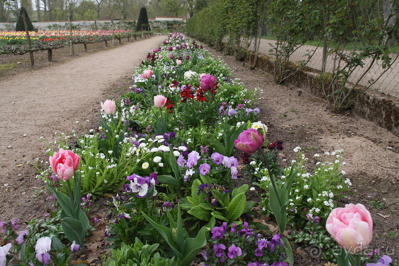 Замки долины Луары и не только. Часть 2