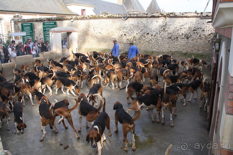 Замки долины Луары и не только. Часть 2