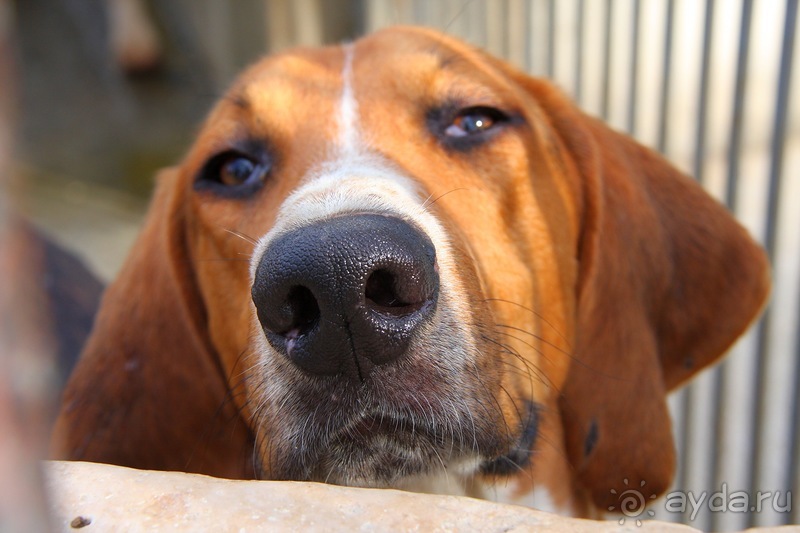 Замки долины Луары и не только. Часть 2